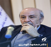 Dr. Mahmoud Goodarzi Outlines Vision for Specialized Sports Development at Think Tank Forum