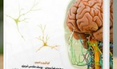 New Book: "Advanced Physiology of the Motor Nervous System" Published