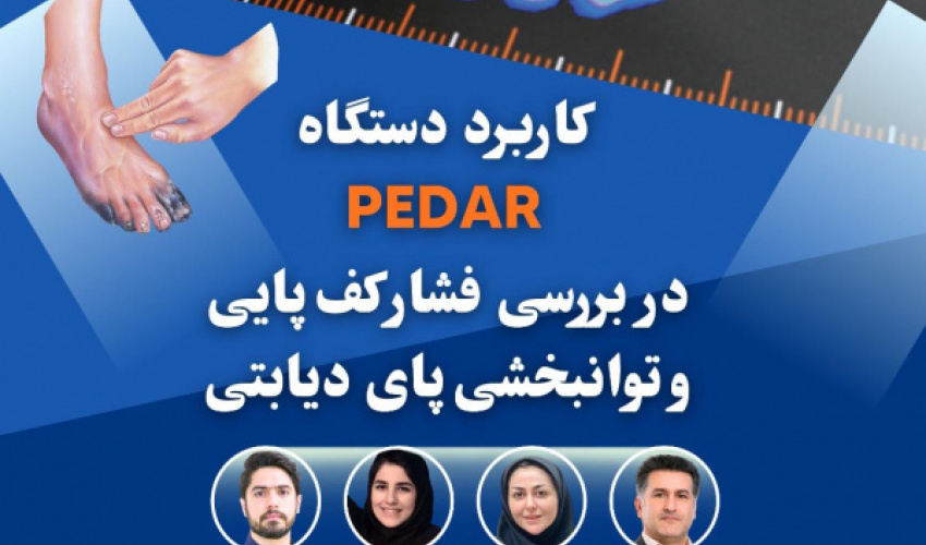 Holding a One-Day Workshop on "The Application of the PEDAR System in Plantar Pressure Analysis and Diabetic Foot Rehabilitation