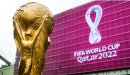 بازیکنان  تیم ملی فوتبال آلمان در صورت قهرمانی در جام جهانی قطر،  ۳۹۰ هزار دلار پاداش دریافت خواهند کرد.
