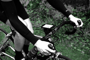 پلتفرم ورزشی یونیکورن (تکشاخ)