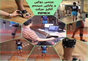 بررسی روایی و پایایی سیستم آنالیز حرکت APEX